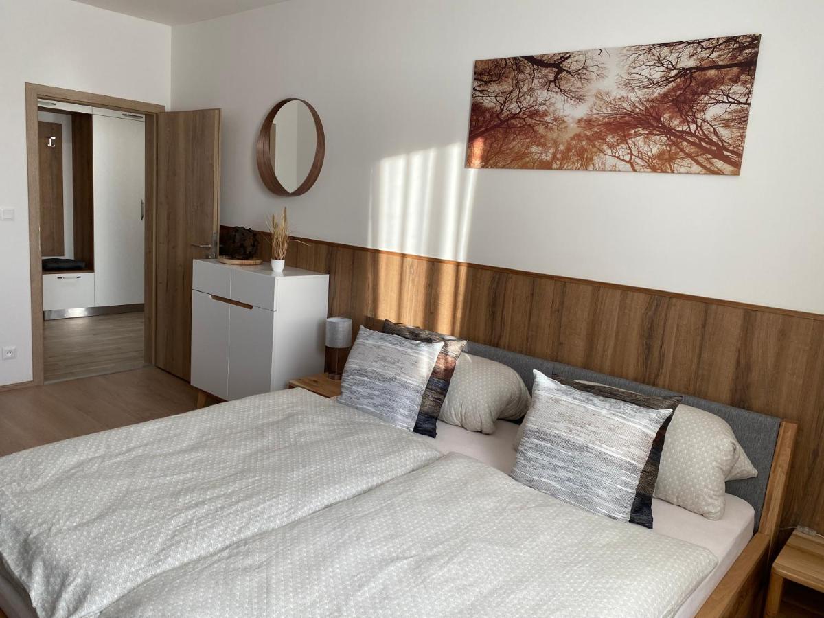 Apartment Petra Klinovec Loučná pod Klínovcem Exteriör bild